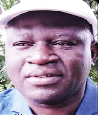 Political gladiators and violence-free elections in Nigeria