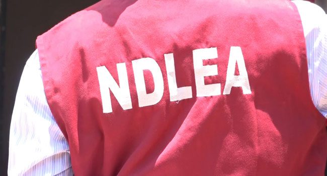 NDLEA intercepts 76.9kg inbound Canada loud, recovers 390kg illicit drugs in Kano, Kaduna, Borno, Oyo