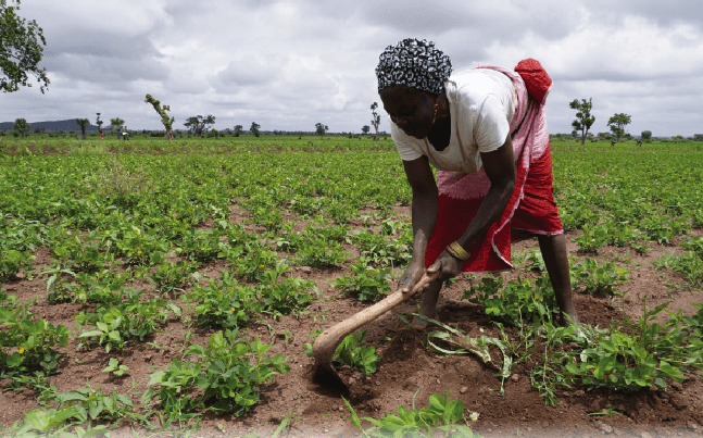 Irregular rainfall: Food crisis looms in Nigeria, farmers warn