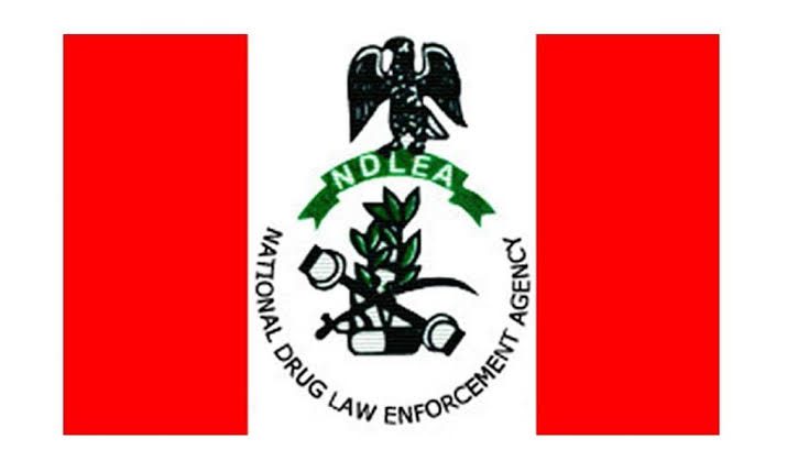 NDLEA intercepts UK-bound meth worth N.5bn, arrests suspect