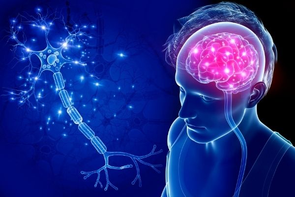 What is motor neuron disease?