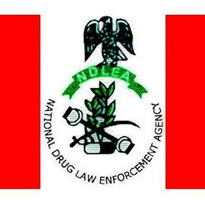 NDLEA arrests 162 suspects, secures 19 convictions for drug-related offences