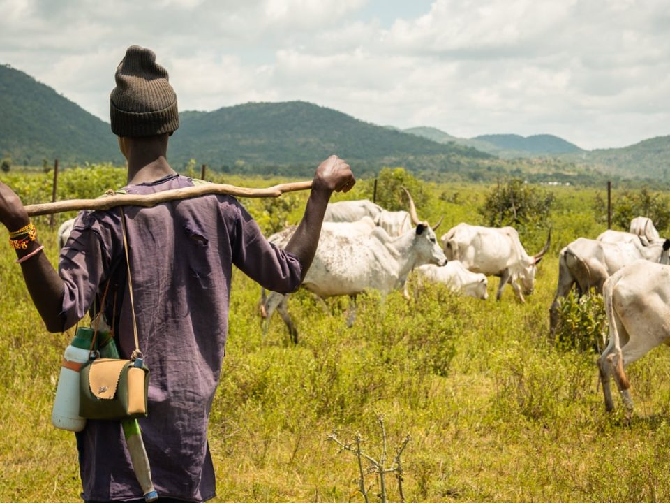 Farmer-herder crisis: We lost over 700 people in 6 months – Miyetti Allah