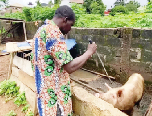 Blind graduate who farms, tends to animals without assistance says, ‘I have all it takes to be great in life’