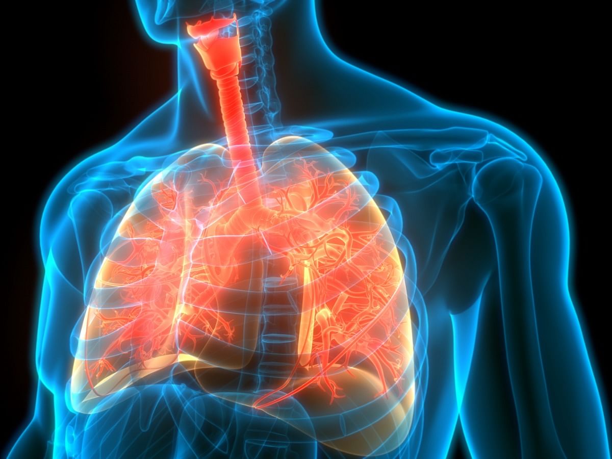 What you need to know about cystic fibrosis, causes and treatment