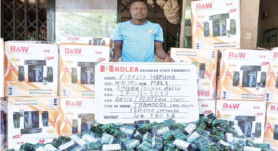 NDLEA arrests Lagos drug kingpin, uncovers meth, opioid consignments