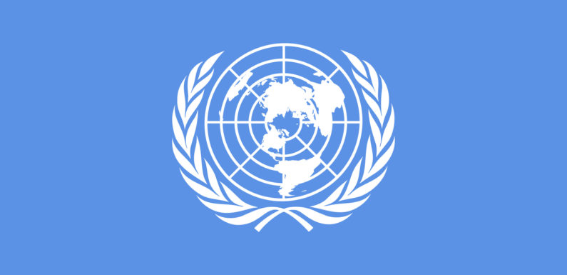 UN warns of protracted low growth in 2024