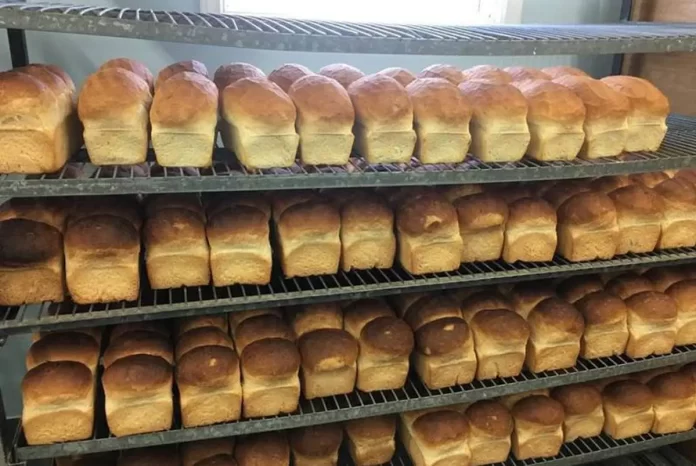 ZAMFARA BAKERY