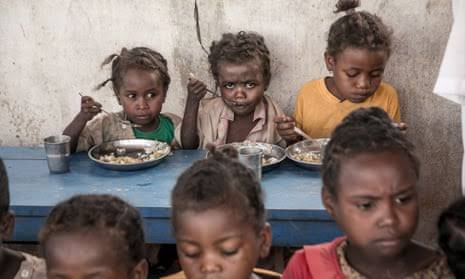 More than 80 million African children battle malnutrition – Forum