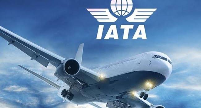 Global air passenger traffic rises by 17% in January – IATA