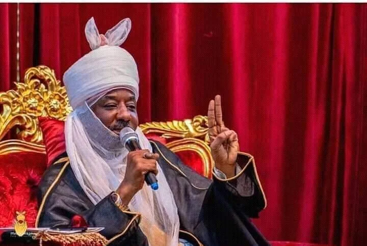 Nigerian elites don’t understand poverty – Emir Sanusi