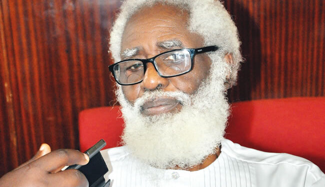 Nigerians no longer envied, poor shadows of what they could be – Yemi Farounbi