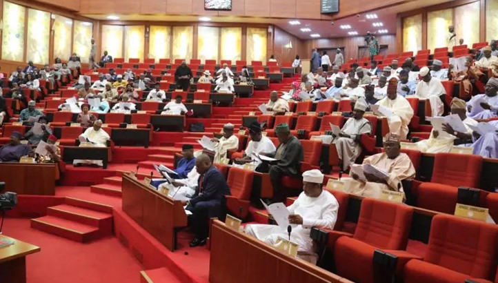Bills on state/LG police, others scale 2nd reading in House of Reps