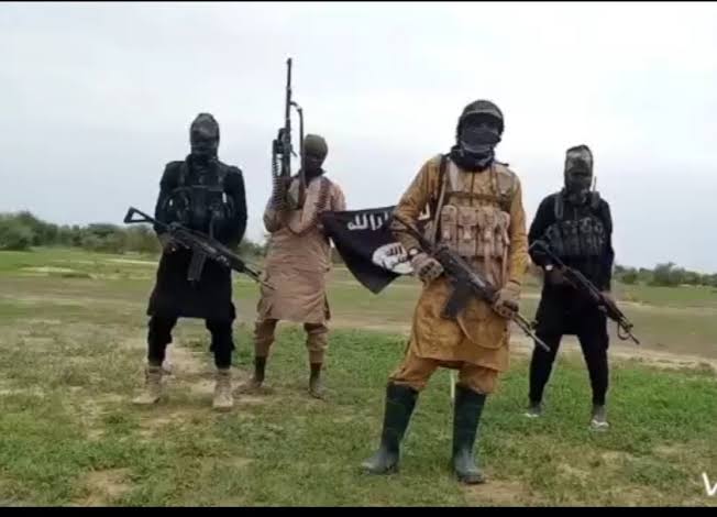 Terrorists kill 40 farmers in Borno deadly attack