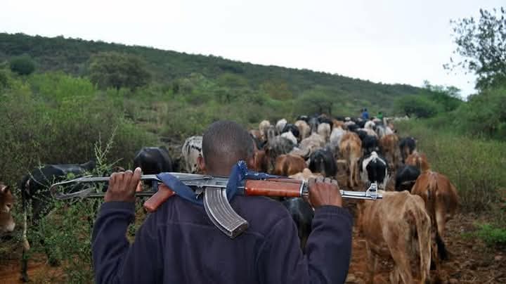 ‘7,000 displaced, over 1,000 children forced out of schools in Enugu communities by armed herdsmen’