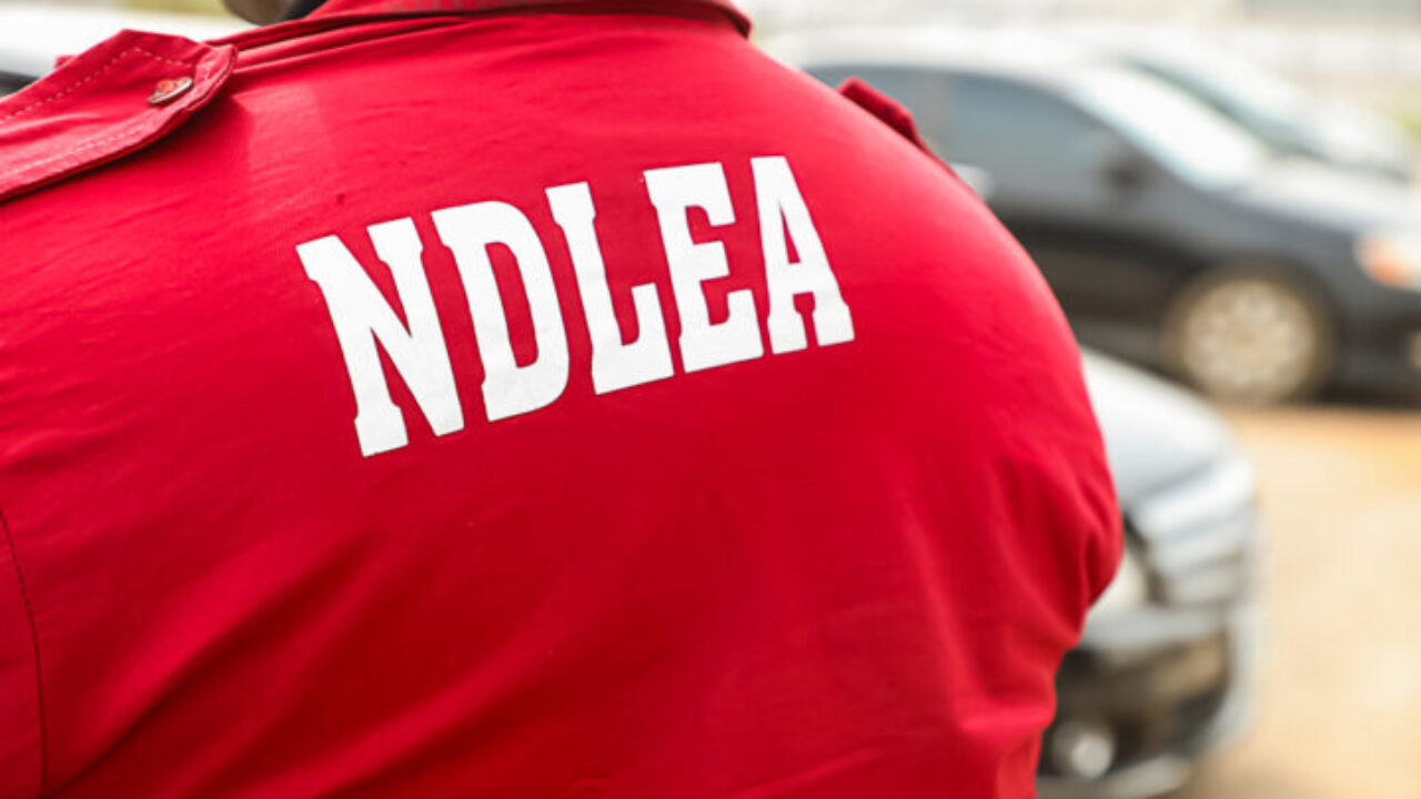 NDLEA intercepts drugs worth N3.4bn, uncovers 942 explosives