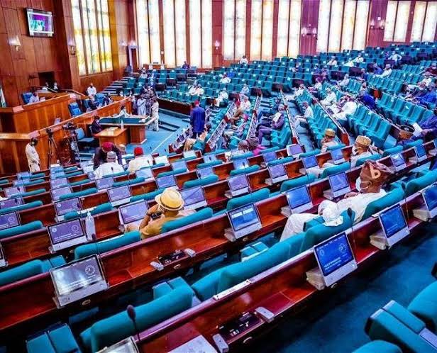 Reps summon CBN Governor, Finance Minister, others over non-payment of contractors